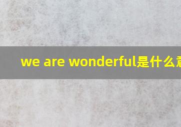 we are wonderful是什么意思